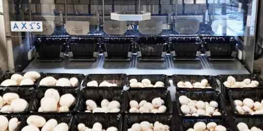 Axis Technology Exports through Innovation